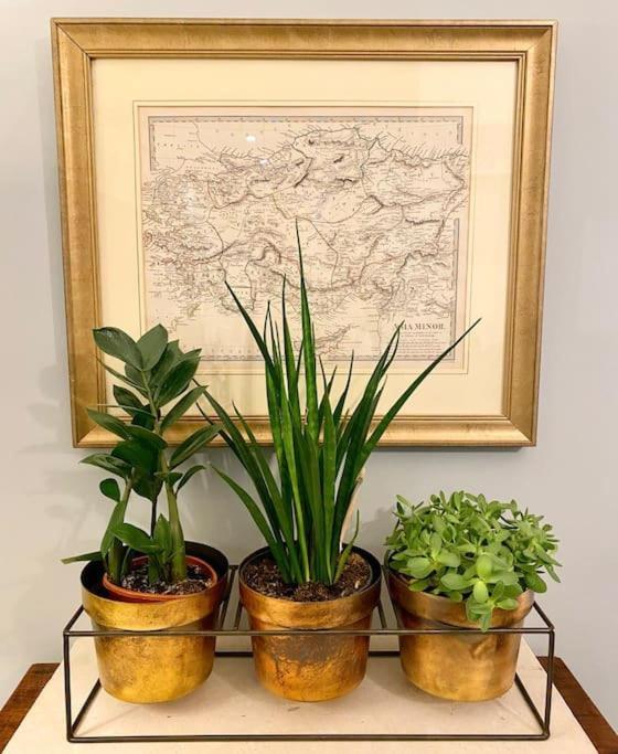 Old Riga Designer Luxury Apartment Екстериор снимка